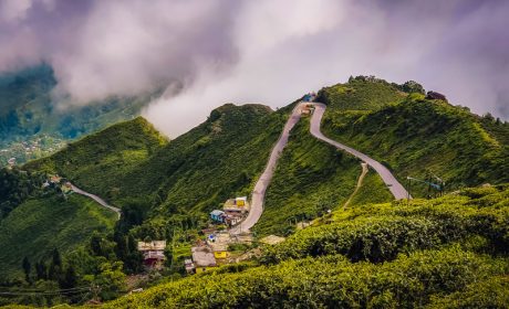 7 Scenic Destinations to Visit in Darjeeling