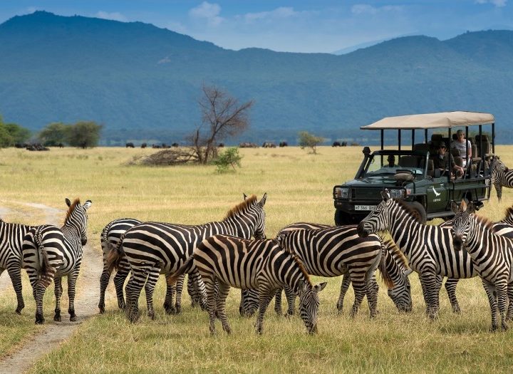 African safari honeymoon