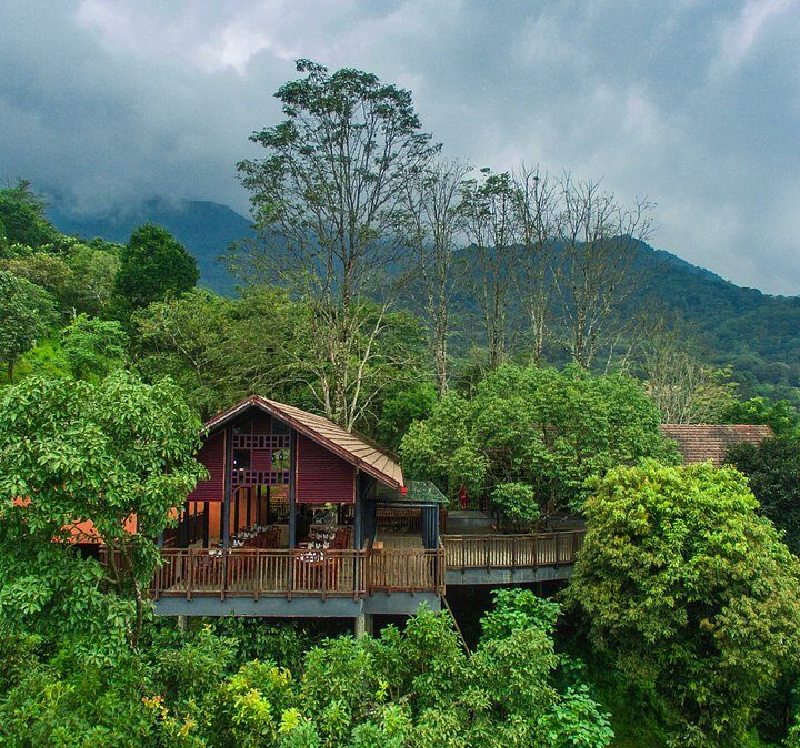 Unveiling Paradise: Ultimate Guide to Selecting Your Dream Resort in Vythiri